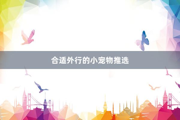 合适外行的小宠物推选