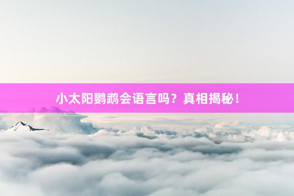 小太阳鹦鹉会语言吗？真相揭秘！